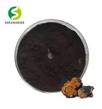 Chaga ekstrakt u prahu