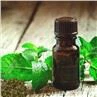 Peppermint Powder