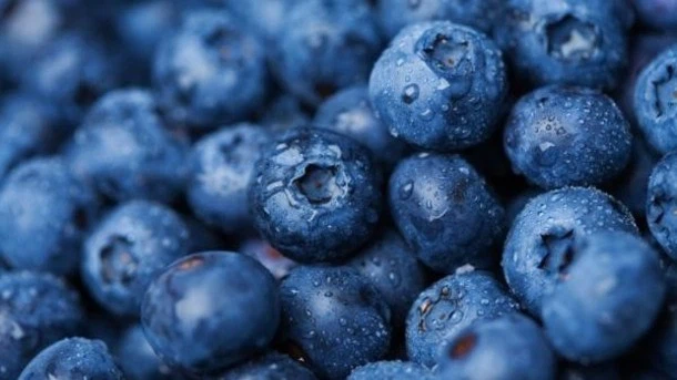 Pterostilbene Pterostilbene