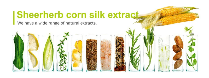 corn-extract-benefit