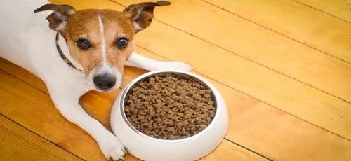 Magnesium-for-feed