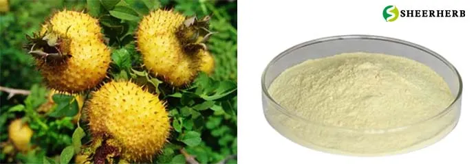 SOD powder SOD powder