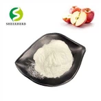 Prirodni jabučni ocat u prahu