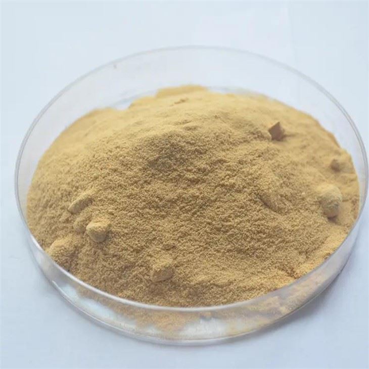 Silimarin u prahu