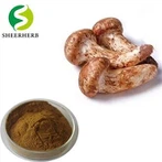 Matsutake ekstrakt