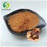 Tea Seed Extract Tea Saponin Powder